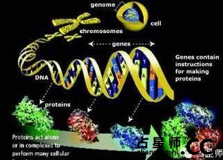 让基因研究来揭开紫微斗数的奥秘
