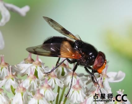 灵数！出生日子看人缘