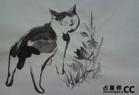 “九尾猫”的古老传说