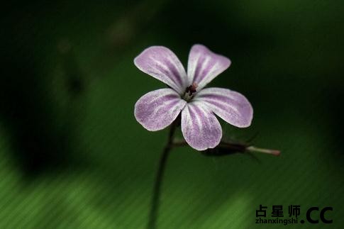 最容易招惹烂桃花的血型女性