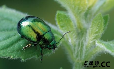 风水勘舆方法之间的比较