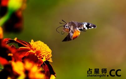 炎炎夏日，莫让电器毁了运气