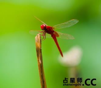 变衰运为旺运的十大细节！