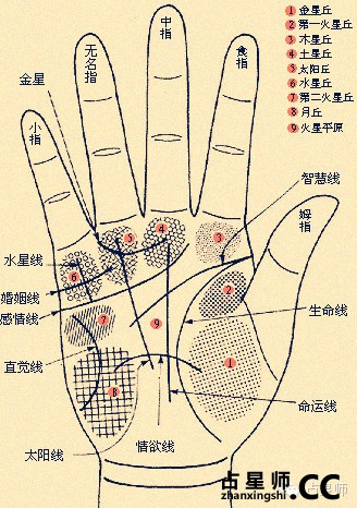 手相真能看出一生运势吗？