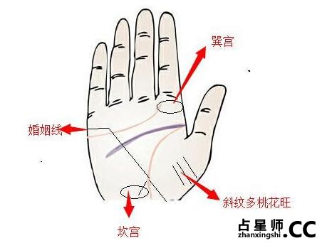 五种桃花最旺的手相