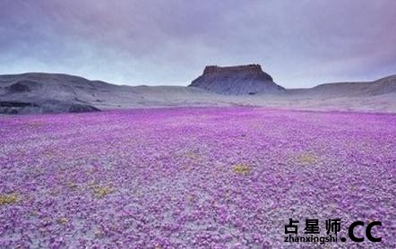 相学揭秘大雪时节怎么进补