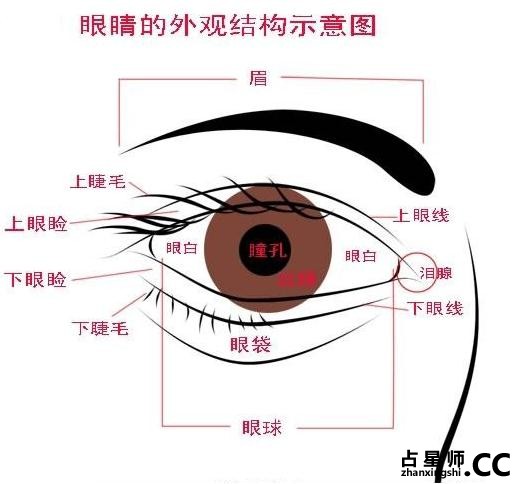 眼睛定一生富贵贫贱